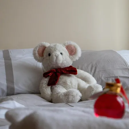 Nad Motlawa * Gdańsk